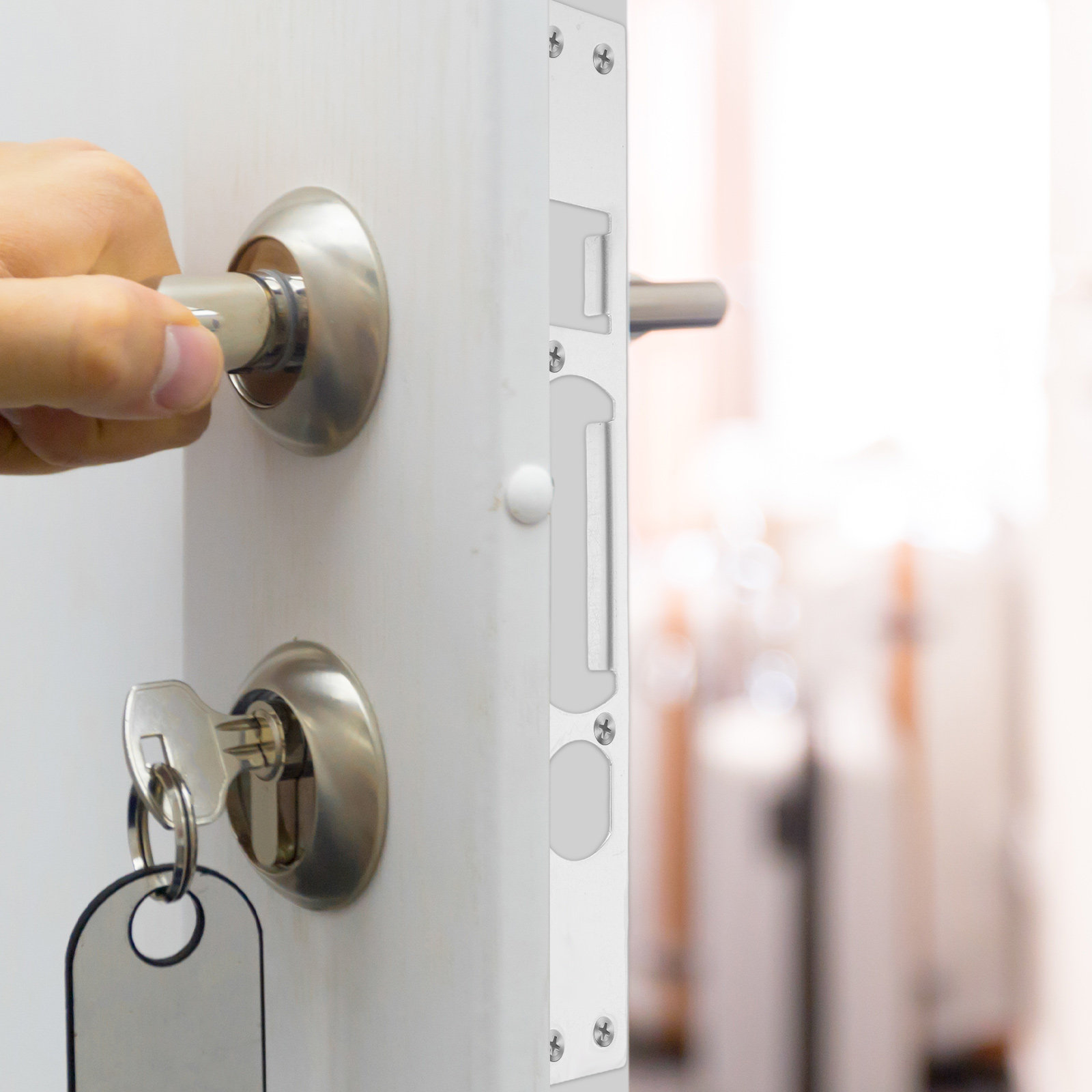 2Pcs Metal Door Strike Plate S - Door Reinforcer Kit review and price