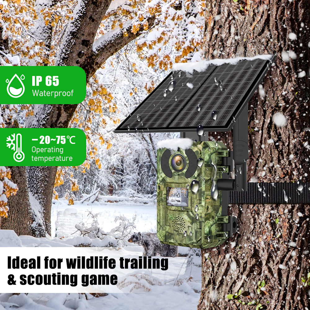 EU Band 4G Cellular LTE Live V - Home Security Diy review and price